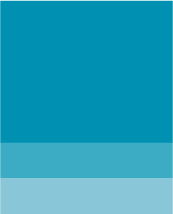 Brand-Coral-Reef-Blue@2x