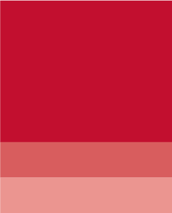 Brand-Hibiscus Red@2x
