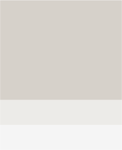 Brand-Shoreline-Gray@2x